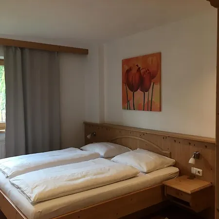 Erler Sankt Johann in Tirol