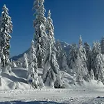 Erler Lejlighed *